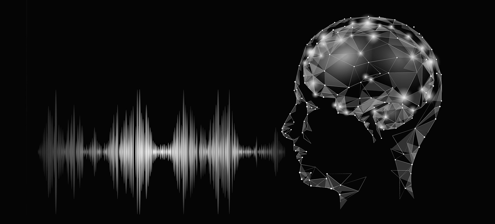 Voice Recognition