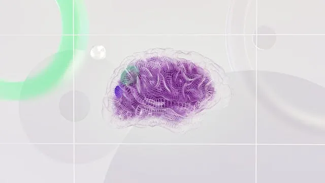 Machine learning inspired by neuroscience and the human brain