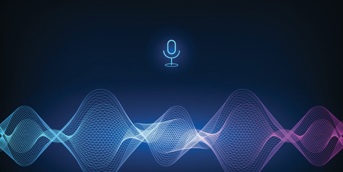 Voice Authentication